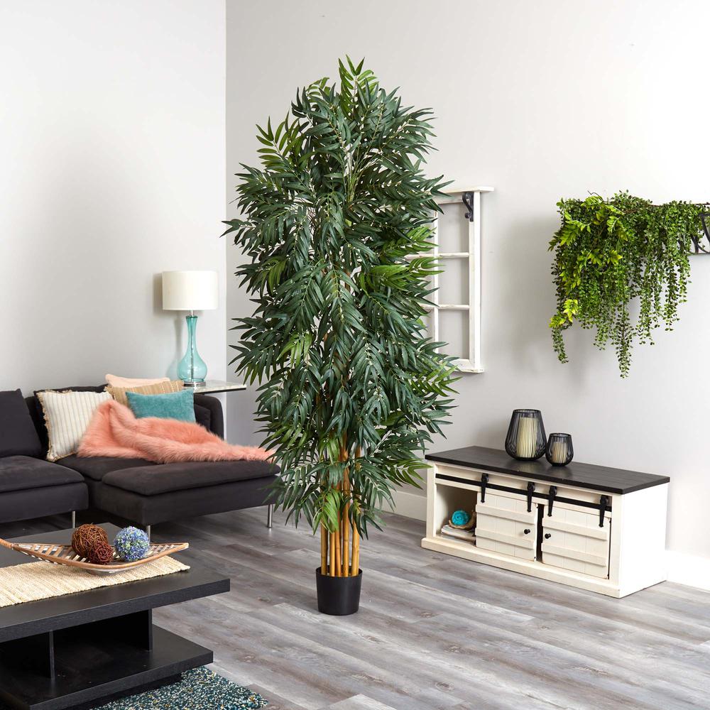 7.5ft. Phoenix Palm Tree