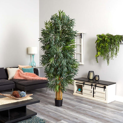 7.5ft. Phoenix Palm Tree