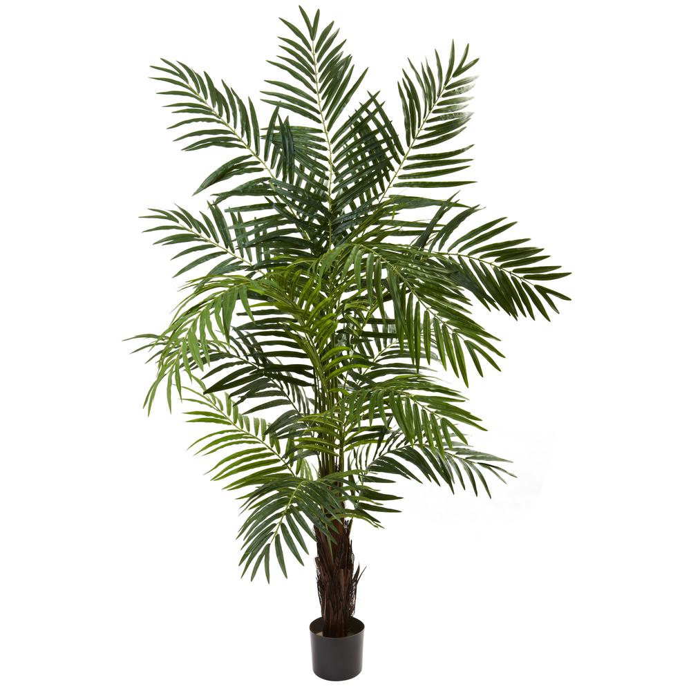 6ft. Areca Palm Tree