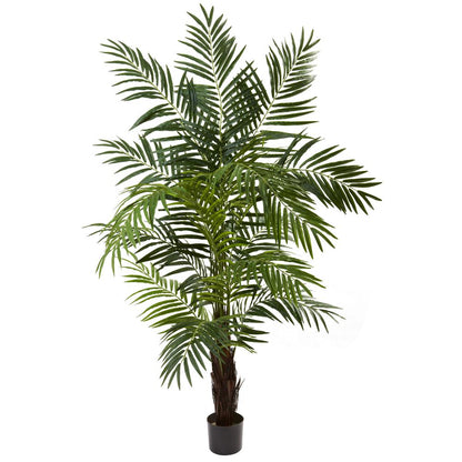 6ft. Areca Palm Tree