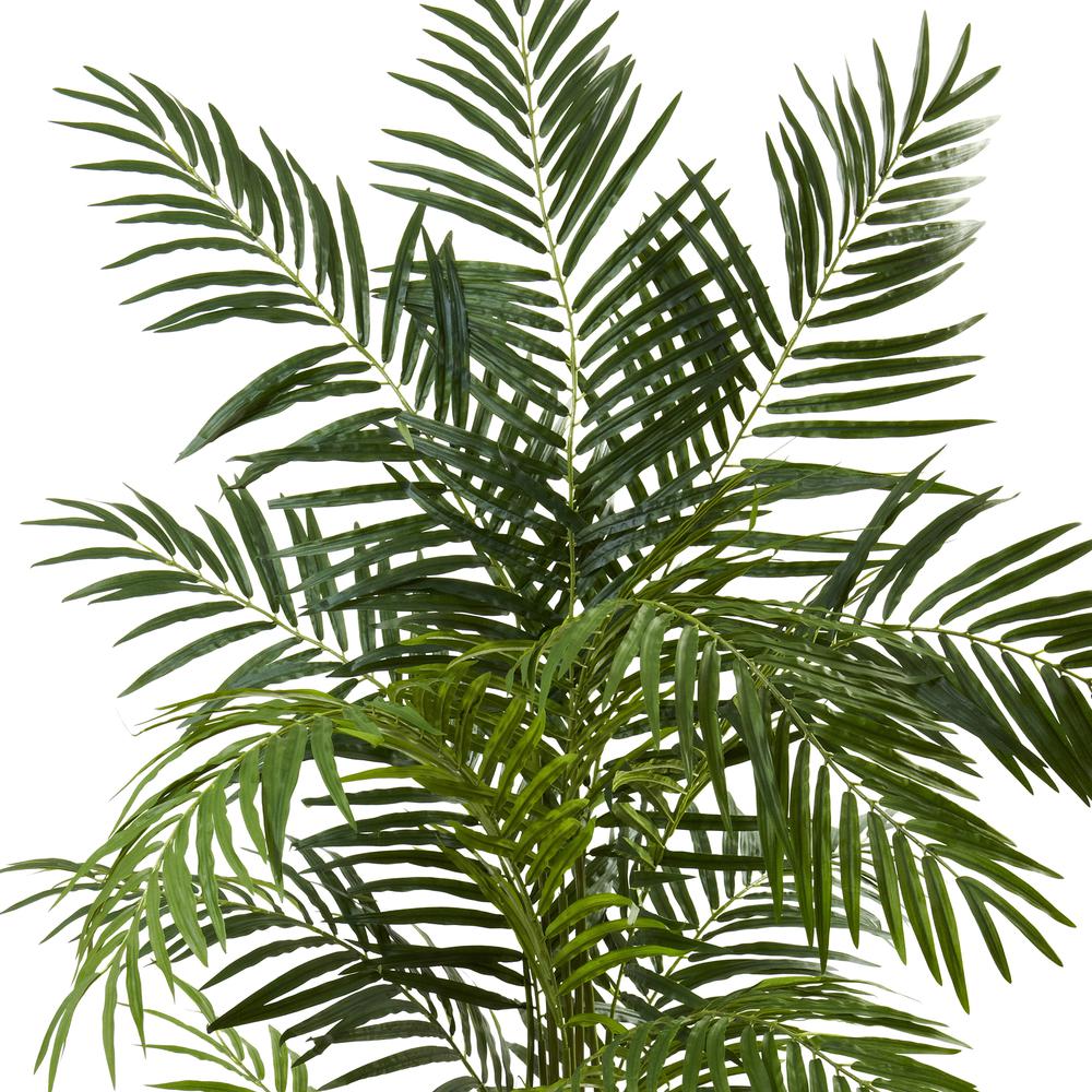 6ft. Areca Palm Tree