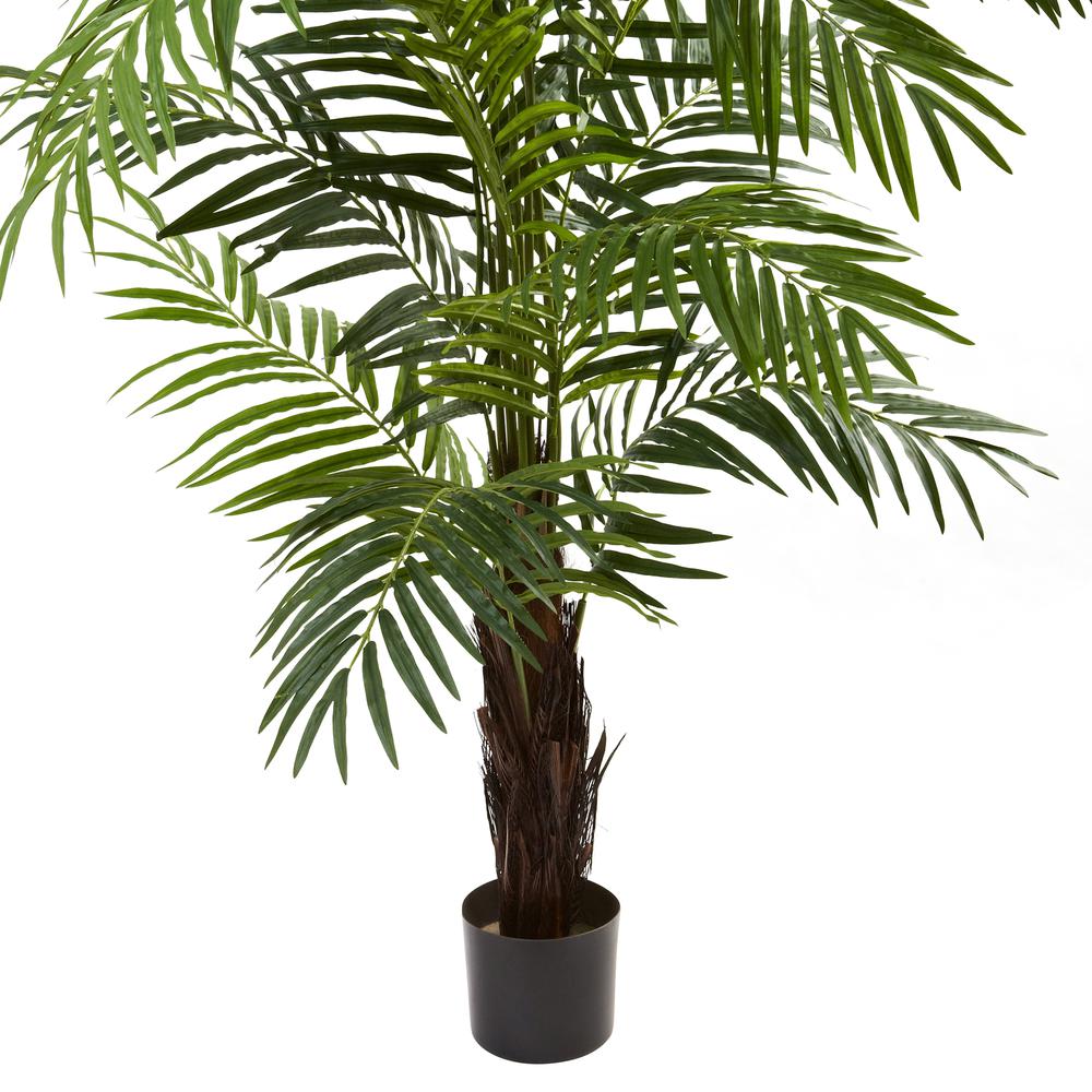 6ft. Areca Palm Tree