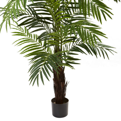 6ft. Areca Palm Tree