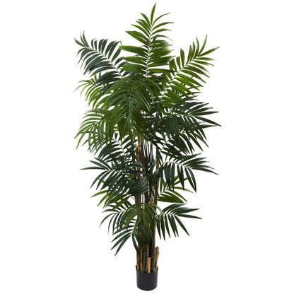 6ft. Bulb Areca Palm Tree
