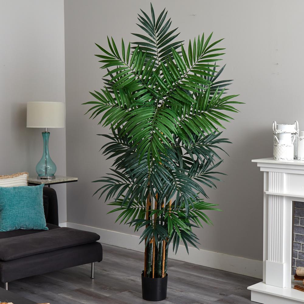 6ft. Bulb Areca Palm Tree