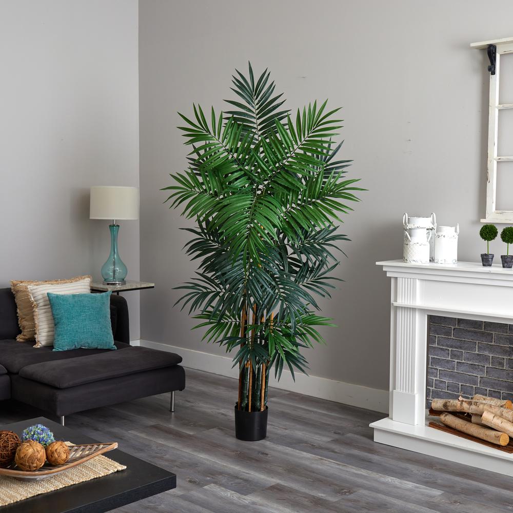6ft. Bulb Areca Palm Tree
