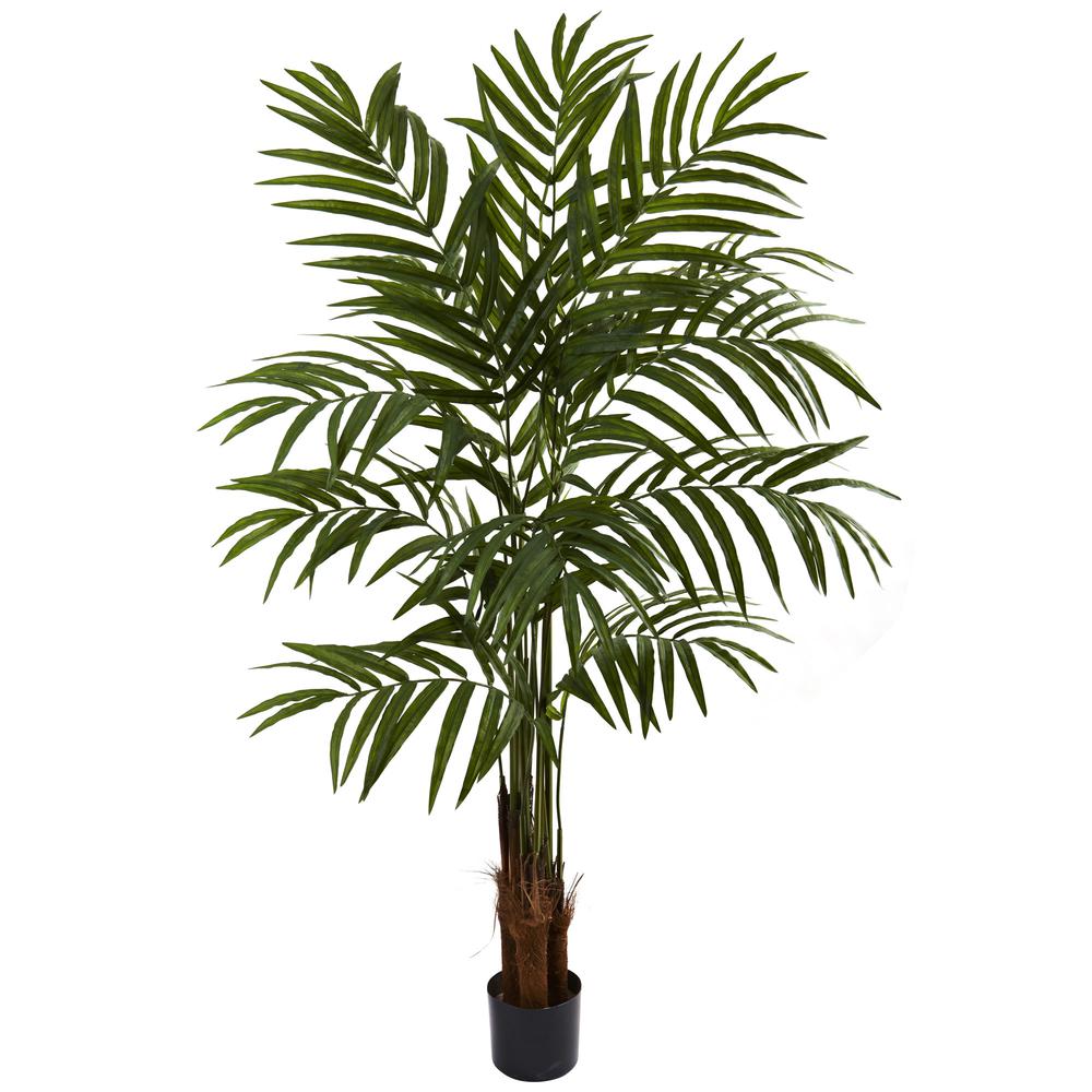 5ft. Big Palm Tree