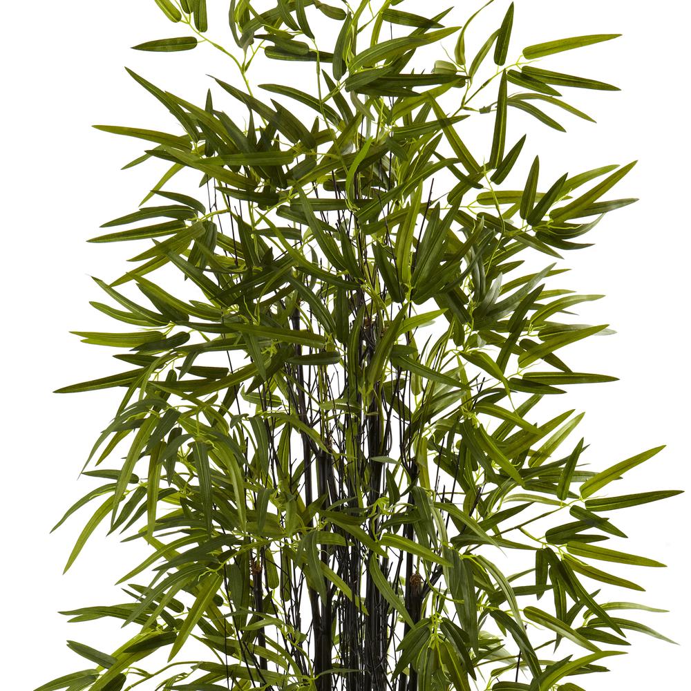 5ft. Black Bamboo Tree