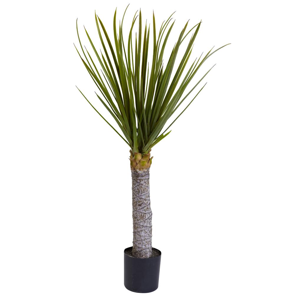 3ft. Yucca Tree