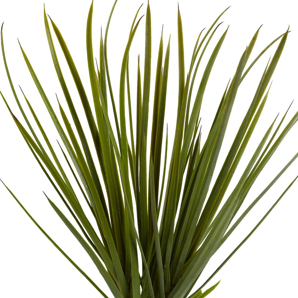 3ft. Yucca Tree
