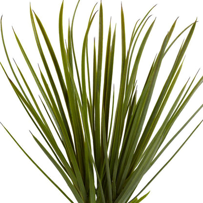 3ft. Yucca Tree