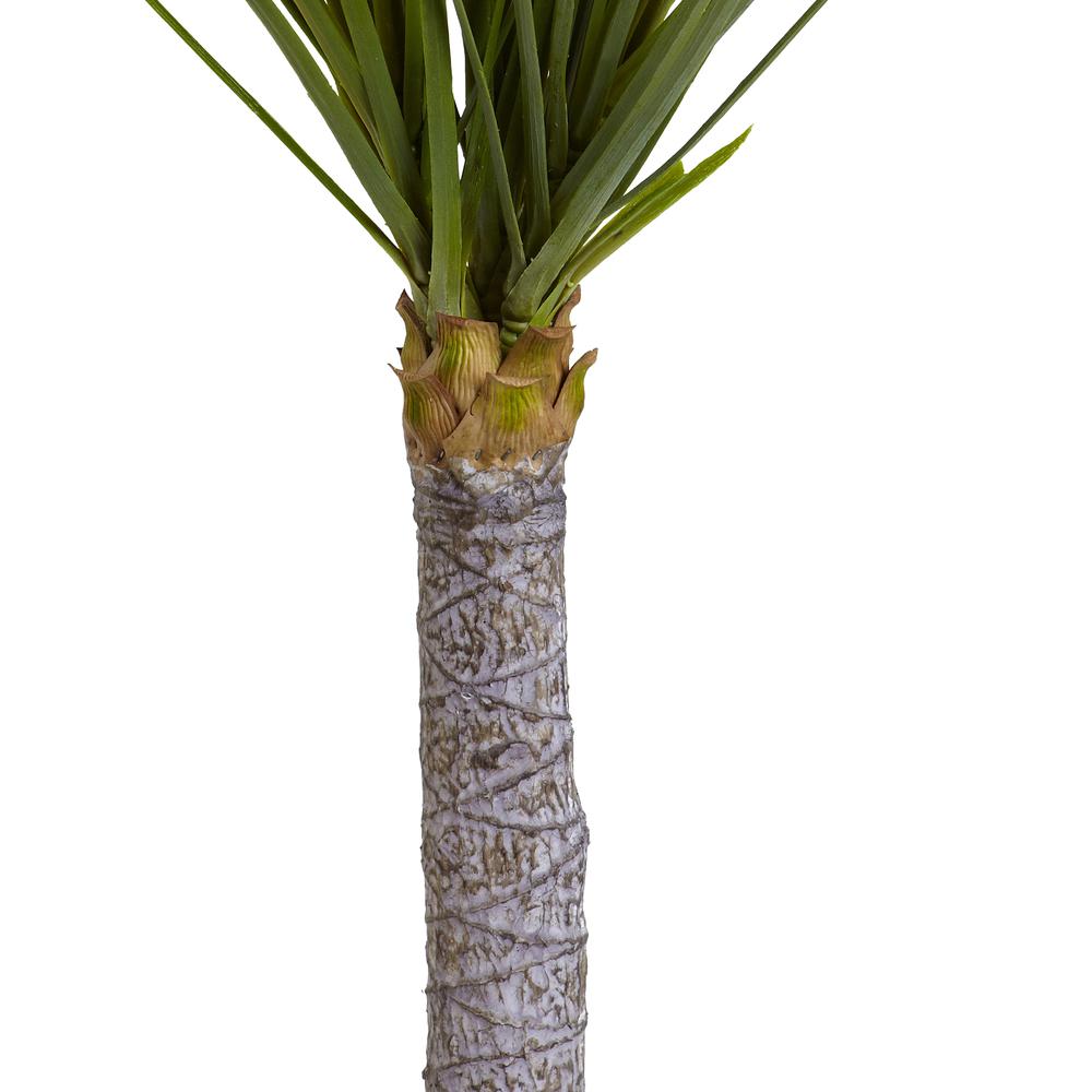 3ft. Yucca Tree
