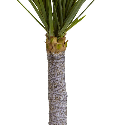 3ft. Yucca Tree