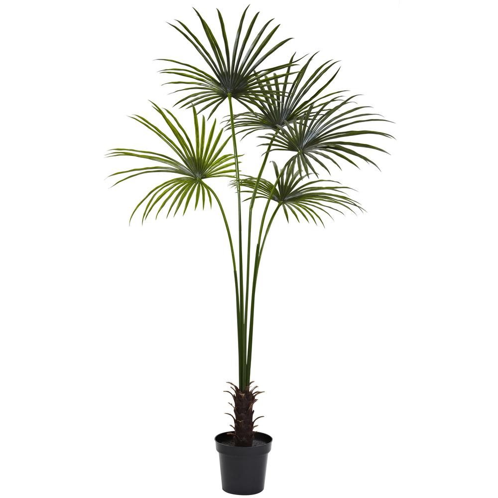 7ft. Fan Palm Tree UV Resistant (Indoor/Outdoor)