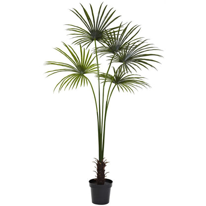 7ft. Fan Palm Tree UV Resistant (Indoor/Outdoor)
