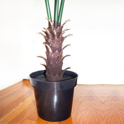 7ft. Fan Palm Tree UV Resistant (Indoor/Outdoor)