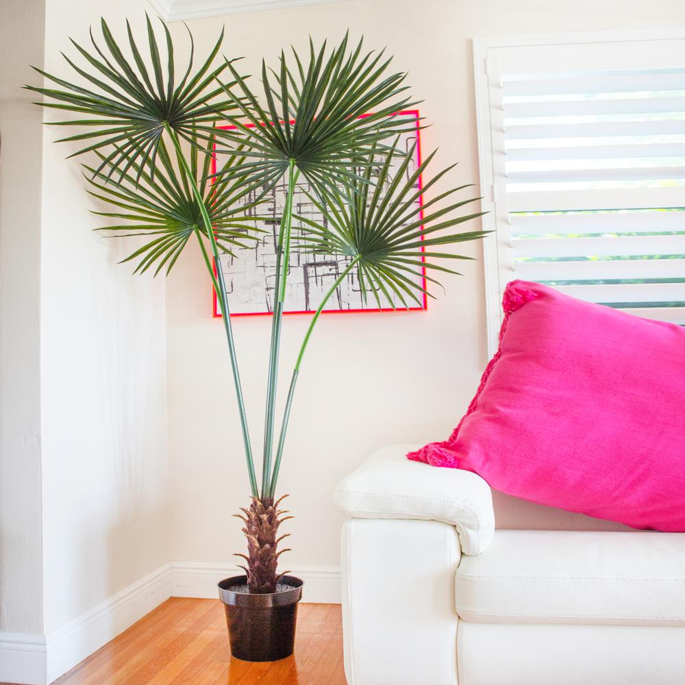 7ft. Fan Palm Tree UV Resistant (Indoor/Outdoor)