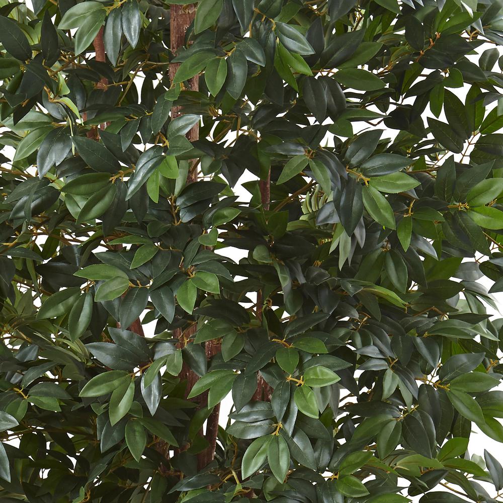 7.5ft. Lychee Silk Tree