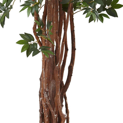 7.5ft. Lychee Silk Tree