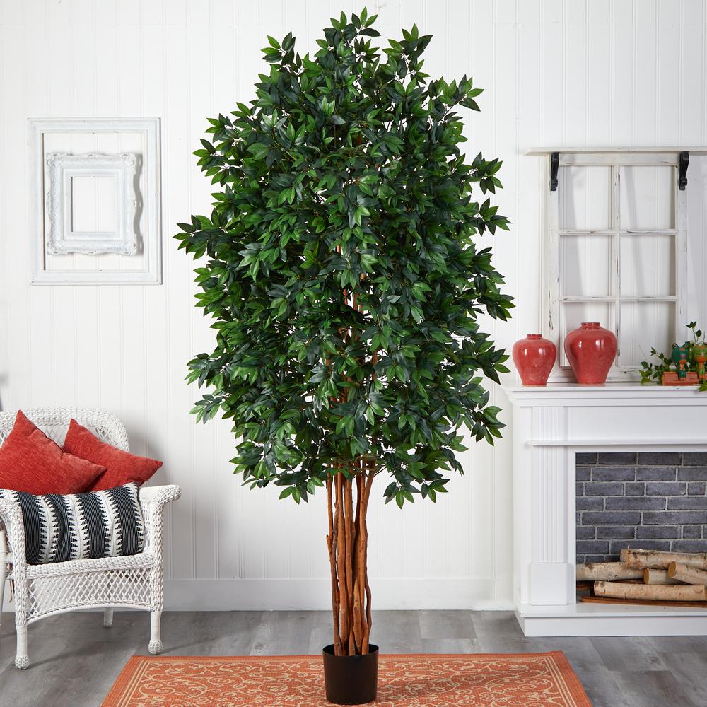 7.5ft. Lychee Silk Tree