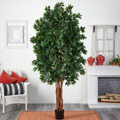 7.5ft. Lychee Silk Tree