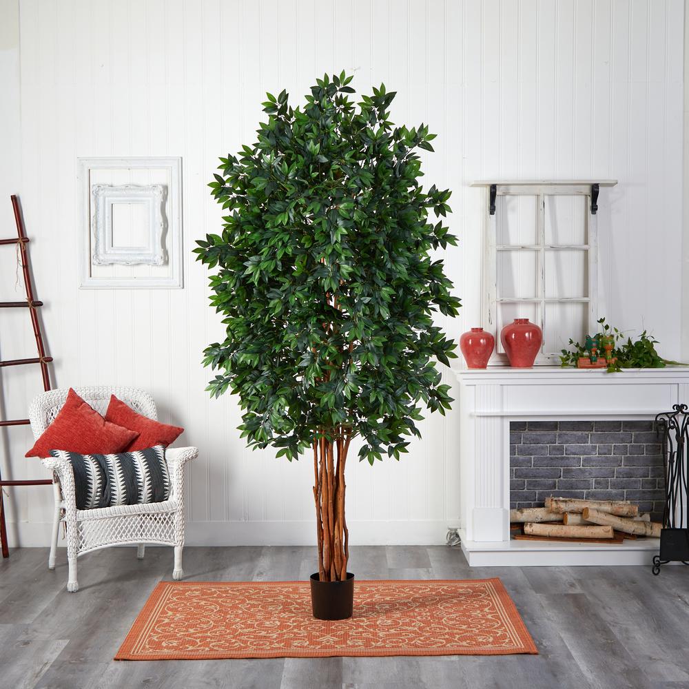 7.5ft. Lychee Silk Tree