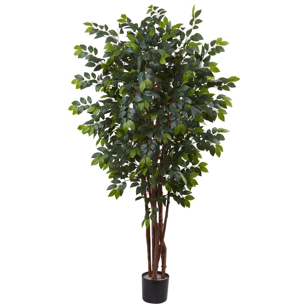 7ft. Sakaki Silk Tree