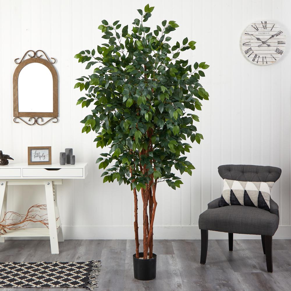 7ft. Sakaki Silk Tree