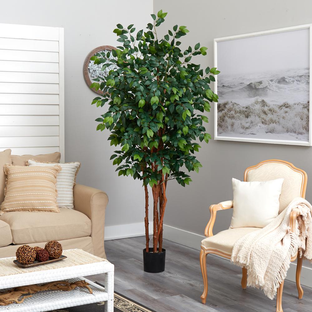 7ft. Sakaki Silk Tree