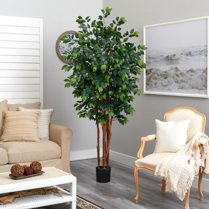 7ft. Sakaki Silk Tree