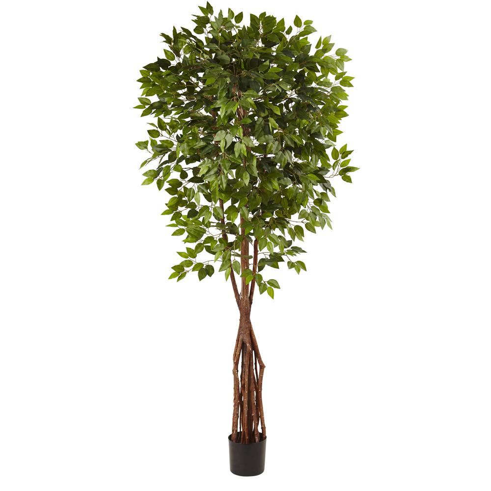 7.5ft. Super Deluxe Ficus Tree