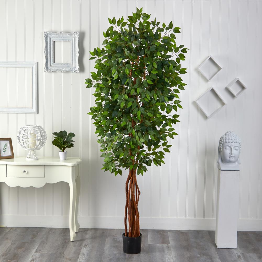7.5ft. Super Deluxe Ficus Tree