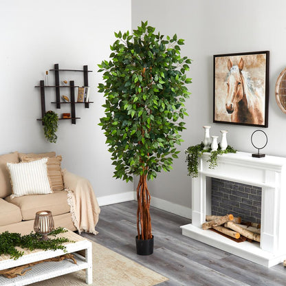 7.5ft. Super Deluxe Ficus Tree