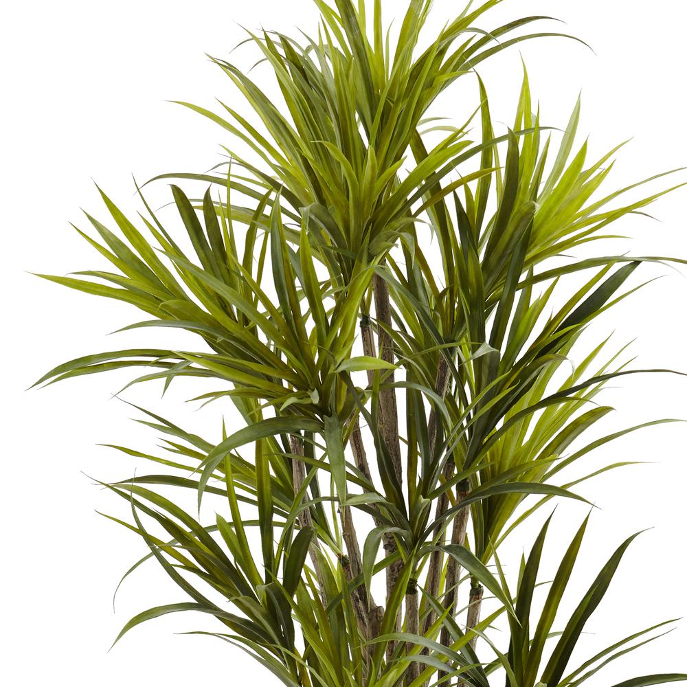 5ft. Dracaena Silk Tree