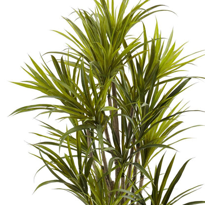 5ft. Dracaena Silk Tree