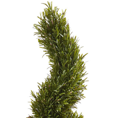 6ft. Rosemary Spiral Tree (Indoor/Outdoor)