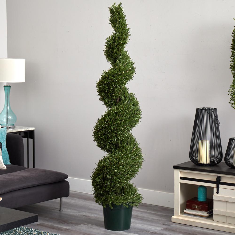 6ft. Rosemary Spiral Tree (Indoor/Outdoor)