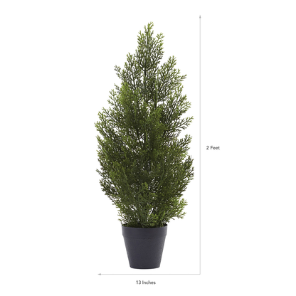 2ft. Mini Cedar Pine Tree (Indoor/Outdoor)