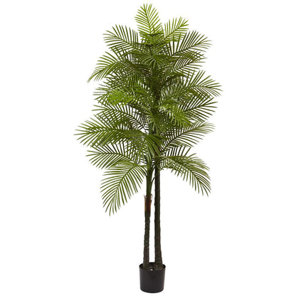 7ft. Double Robellini Palm Tree UV Resistant (Indoor/Outdoor)