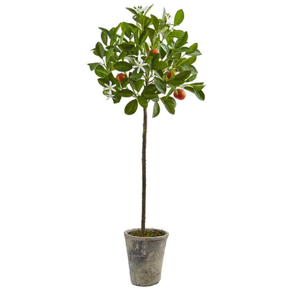 38in. Potted Orange Tree