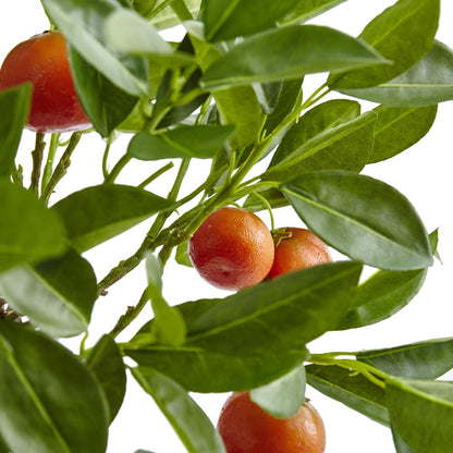 38in. Potted Orange Tree