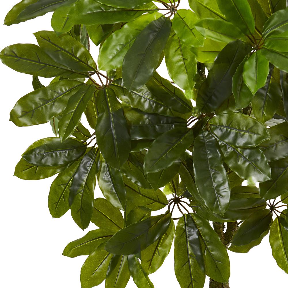 Schefflera Artificial Tree UV Resistant (Indoor/Outdoor)