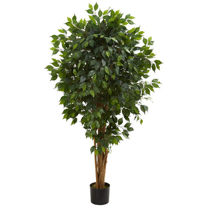 5.5ft. Ficus Artificial Tree