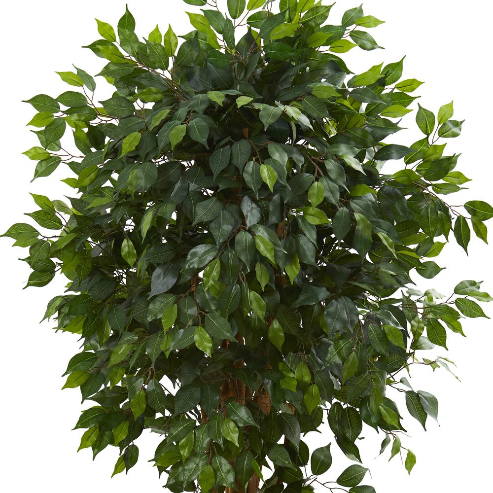 5.5ft. Ficus Artificial Tree