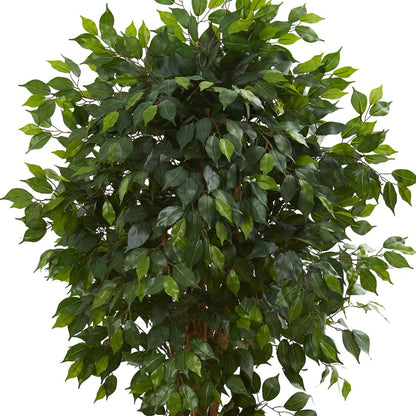 5.5ft. Ficus Artificial Tree