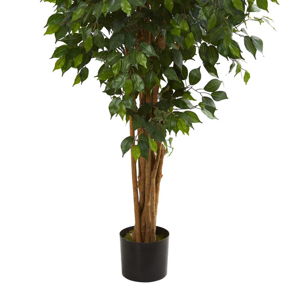 5.5ft. Ficus Artificial Tree