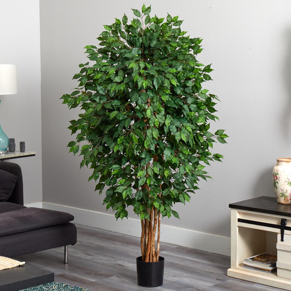 5.5ft. Ficus Artificial Tree