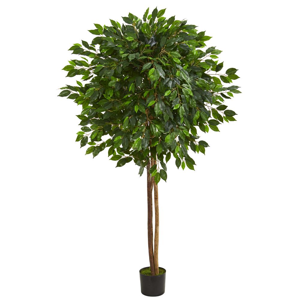 6.5ft. Ficus Artificial Tree