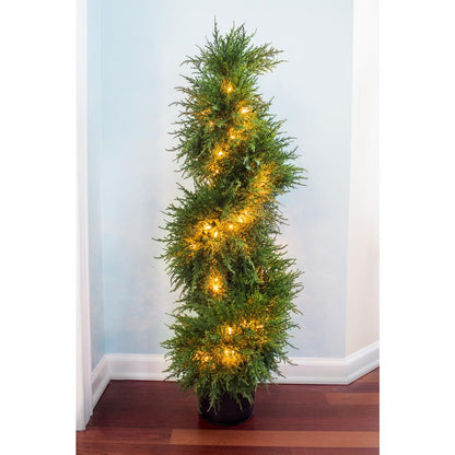 43in. Cedar Spiral Topiary with Lights