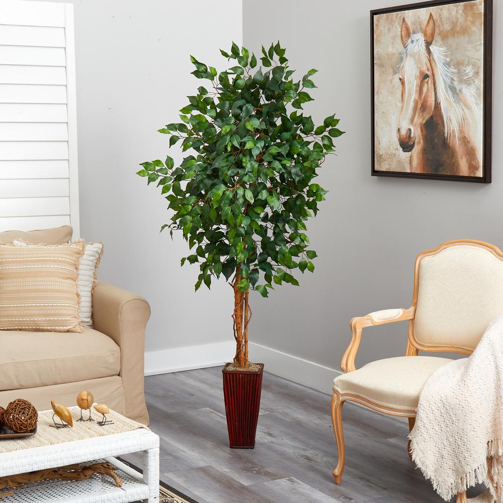 6ft. Ficus Tree with Bamboo Planter